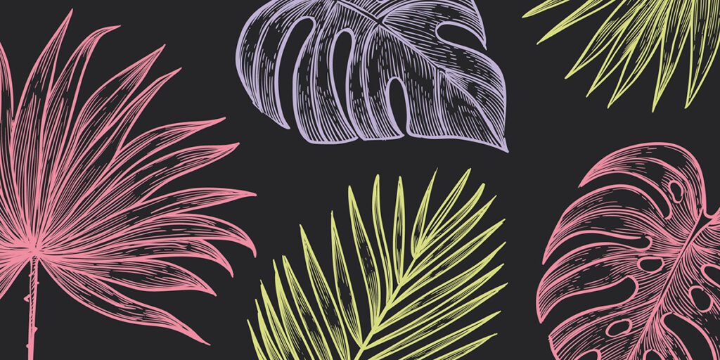 Colorful tropical plant illustrations